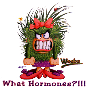 What Hormones?