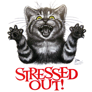 Stressed out!