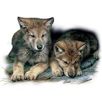 Два волчонка