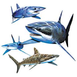 Четыре акулы