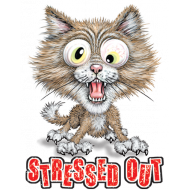 STRESSED OUT, кот